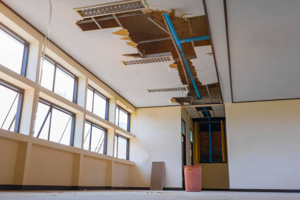 Best 24-hour water damage restoration  in Seaford, DE