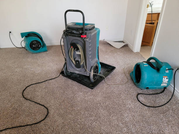 Trusted DE Water damage restoration Experts