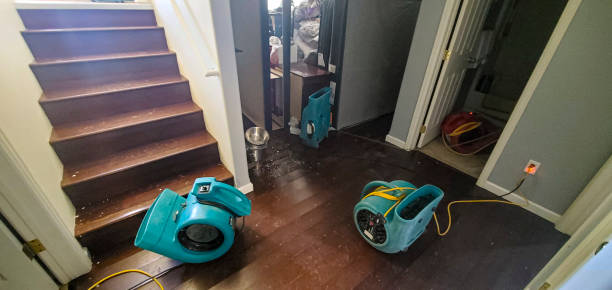 Best Sewage cleanup and water damage restoration  in Seaford, DE