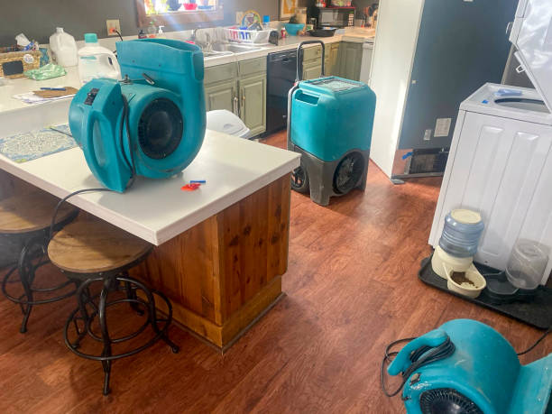 Best Professional water damage repair  in Seaford, DE