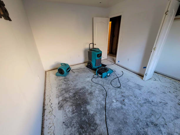 Best Local water damage restoration  in Seaford, DE