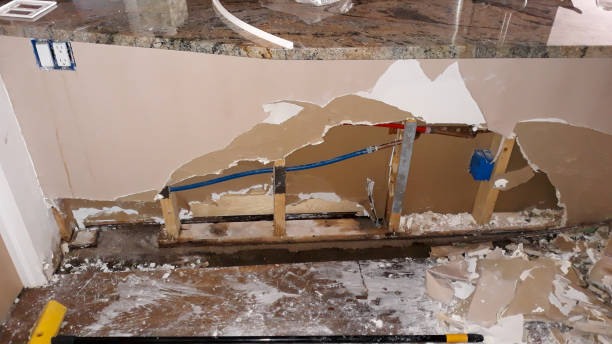 Best Flood damage cleanup  in Seaford, DE