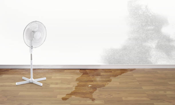 Water damage restoration experts in DE