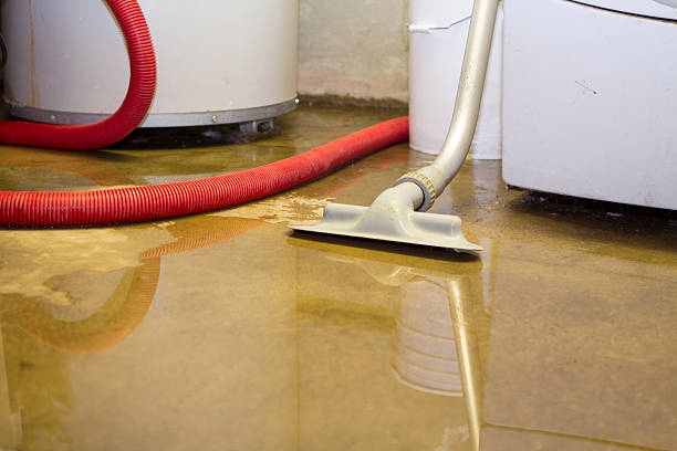 Best Mold removal after water damage  in Seaford, DE
