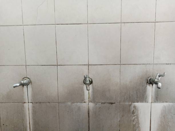 Best Ceiling water damage repair  in Seaford, DE