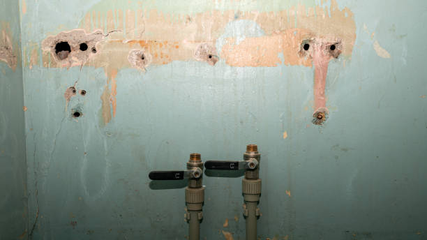 Local water damage restoration in DE