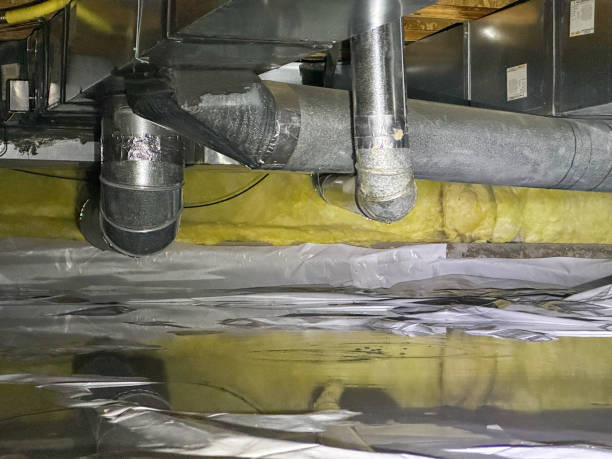 Best Basement water damage restoration  in Seaford, DE