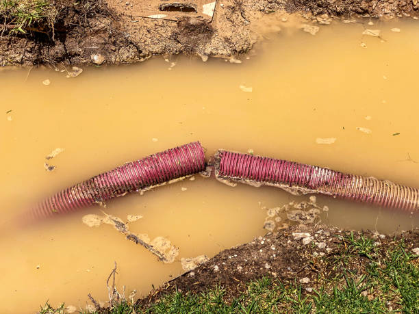 Best Residential water damage restoration  in Seaford, DE