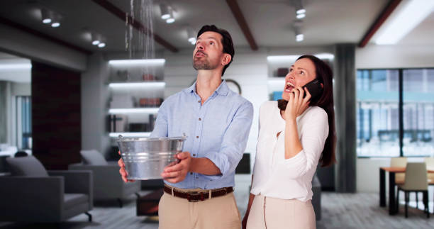 Best Flooded house restoration  in Seaford, DE
